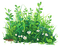 grass Bb2 - безплатен png анимиран GIF