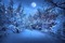 Kaz_Creations Deco  Backgrounds Background Winter - gratis png geanimeerde GIF