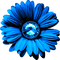 Flower.Blue