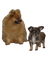 Pomeranian/Chihuahua - darmowe png animowany gif