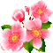 Y.A.M._Summer Flowers Decor - Бесплатни анимирани ГИФ анимирани ГИФ
