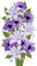 purple flowers 2 - png gratuito GIF animata