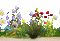 fleurs - Nemokamas animacinis gif animuotas GIF
