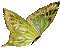 renkli kelebek - Gratis geanimeerde GIF geanimeerde GIF