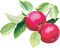 red apples Bb2 - zadarmo png animovaný GIF