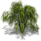 Baum - ücretsiz png animasyonlu GIF