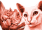 Y.A.M._Art Fantasy cat red - 免费PNG 动画 GIF