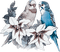 soave deco summer bird tropical parrot flowers - 免费PNG 动画 GIF