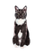 MMarcia gato chat - darmowe png animowany gif