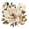 ecru beige spring flowers - Darmowy animowany GIF animowany gif