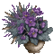 Bloemen en Planten - Безплатен анимиран GIF анимиран GIF