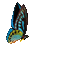 Kaz_Creations Deco Butterflies Butterfly Blue Teal Animated - GIF animé gratuit GIF animé