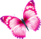 butterfly  Bb2 - darmowe png animowany gif