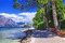 lago - PNG gratuit GIF animé