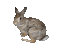 lapin - Darmowy animowany GIF animowany gif