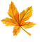 nbl-leaf - gratis png geanimeerde GIF