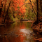 ruisseau  forest autumn gif - GIF animé gratuit GIF animé