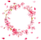 Sakura fleur rose pink flower cadre frame - PNG gratuit GIF animé
