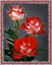 cecily-fond animé roses - Free animated GIF Animated GIF