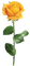 Rose, gelb - безплатен png анимиран GIF