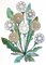 dandelions  Bb2 - PNG gratuit GIF animé