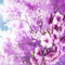 background hintergrund fondo flowers milla1959 - Darmowy animowany GIF animowany gif