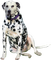 Dalmatian - png ฟรี GIF แบบเคลื่อนไหว
