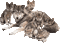 Loups - Darmowy animowany GIF animowany gif