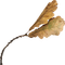autumn leaves - бесплатно png анимированный гифка
