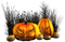 halloween - Free PNG Animated GIF