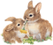 easter eggs rabbit vintage deco - PNG gratuit GIF animé