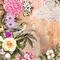fond, nature,bird,fleur, Adam64 - Darmowy animowany GIF animowany gif