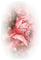 Pink.Flowers.Fleurs.deco.Victoriabea - zdarma png animovaný GIF