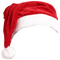 christmas - PNG gratuit GIF animé