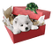 dog - 免费PNG 动画 GIF