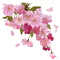 aquarelle, été, fleur, Orabel - PNG gratuit GIF animé
