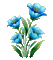 nbl-flowers - 無料のアニメーション GIF アニメーションGIF