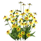 flower - ücretsiz png animasyonlu GIF