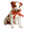 dog - zdarma png animovaný GIF
