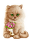 Katze - png gratis GIF animado
