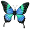 Kaz_Creations Deco Butterflies Butterfly   Colours - png ฟรี GIF แบบเคลื่อนไหว