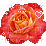 Roses dm19 - Darmowy animowany GIF animowany gif