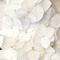 white flowers background - kostenlos png Animiertes GIF