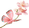 Flowers dm19 - бесплатно png анимированный гифка