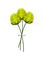 fleur jaune.Cheyenne63 - PNG gratuit GIF animé