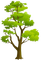 tree - gratis png animerad GIF
