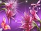 kwiaty,motyle - darmowe png animowany gif