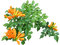 kukka fleur flower - ücretsiz png animasyonlu GIF