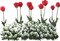 flowers - gratis png geanimeerde GIF
