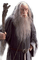 gandalf hobbit lord of the rings - gratis png geanimeerde GIF